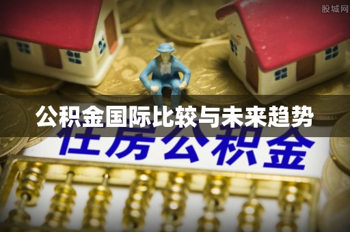 易县公积金国际比较与未来趋势