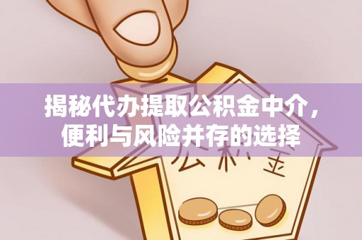 易县揭秘代办提取公积金中介，便利与风险并存的选择