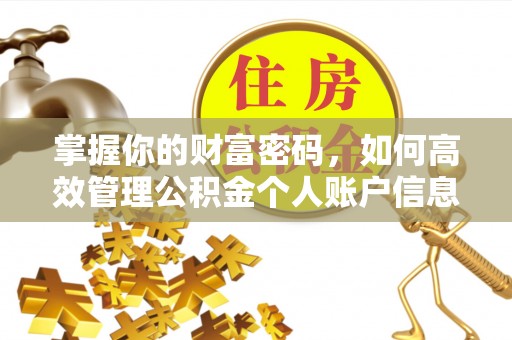 易县掌握你的财富密码，如何高效管理公积金个人账户信息