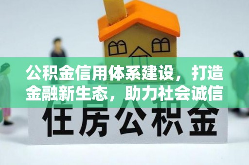 易县公积金信用体系建设，打造金融新生态，助力社会诚信发展