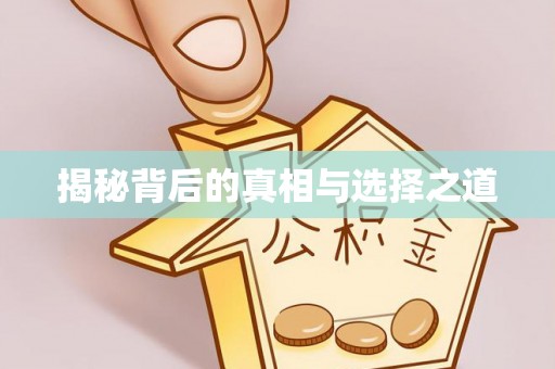 易县揭秘背后的真相与选择之道