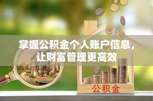 易县掌握公积金个人账户信息，让财富管理更高效
