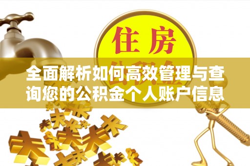 易县全面解析如何高效管理与查询您的公积金个人账户信息