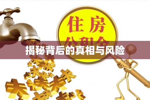 易县揭秘背后的真相与风险