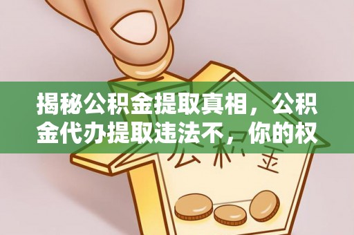 易县揭秘公积金提取真相，公积金代办提取违法不，你的权益如何保障？
