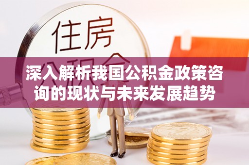 易县深入解析我国公积金政策咨询的现状与未来发展趋势