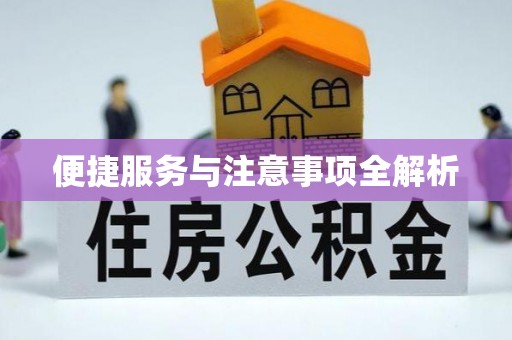 易县便捷服务与注意事项全解析